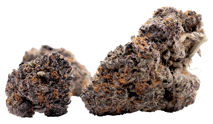 Bulk THCa Flower Purple Candy Runtz
