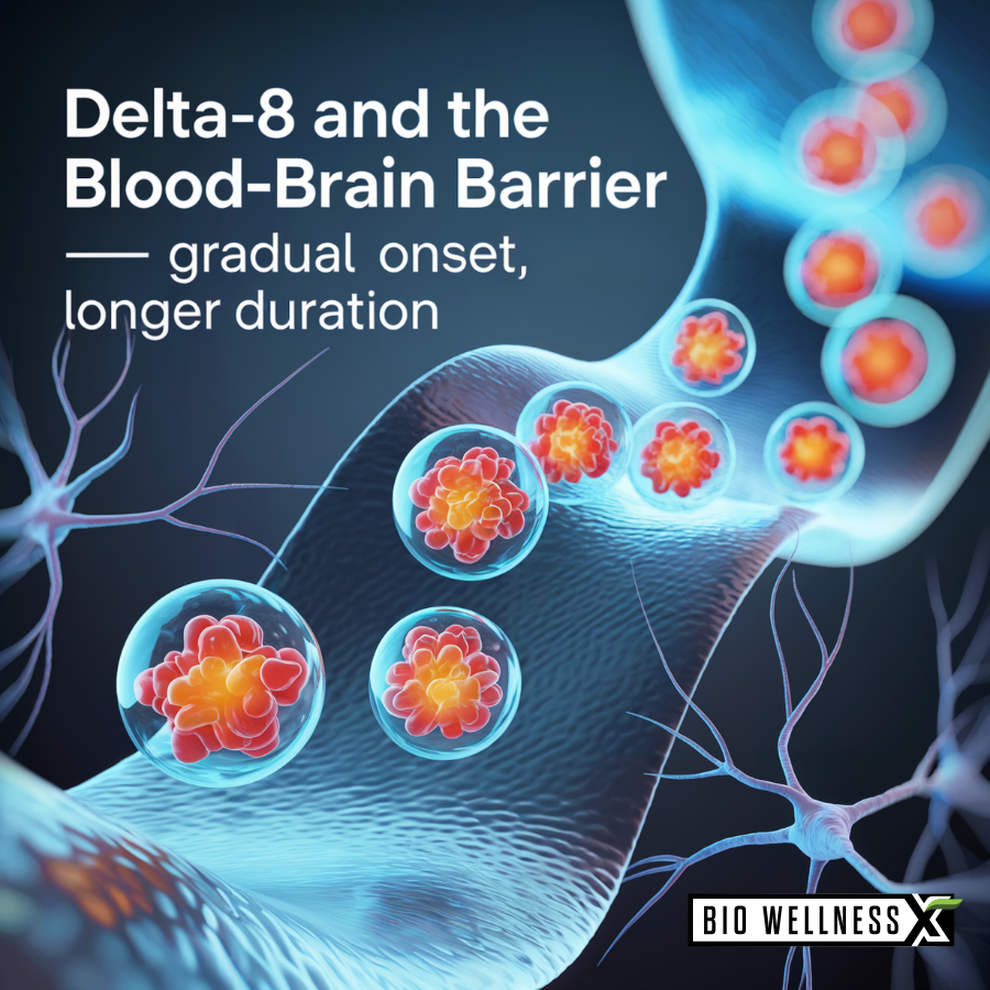 How Delta-8 Works Blood Brain Barrier