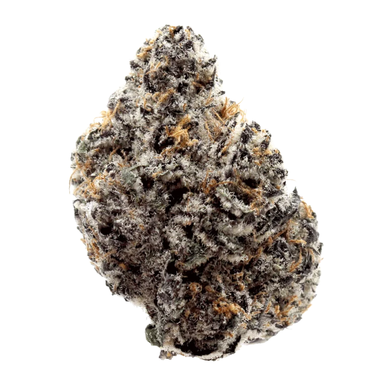 Prosecco THCa Flower Strain - Wholesale