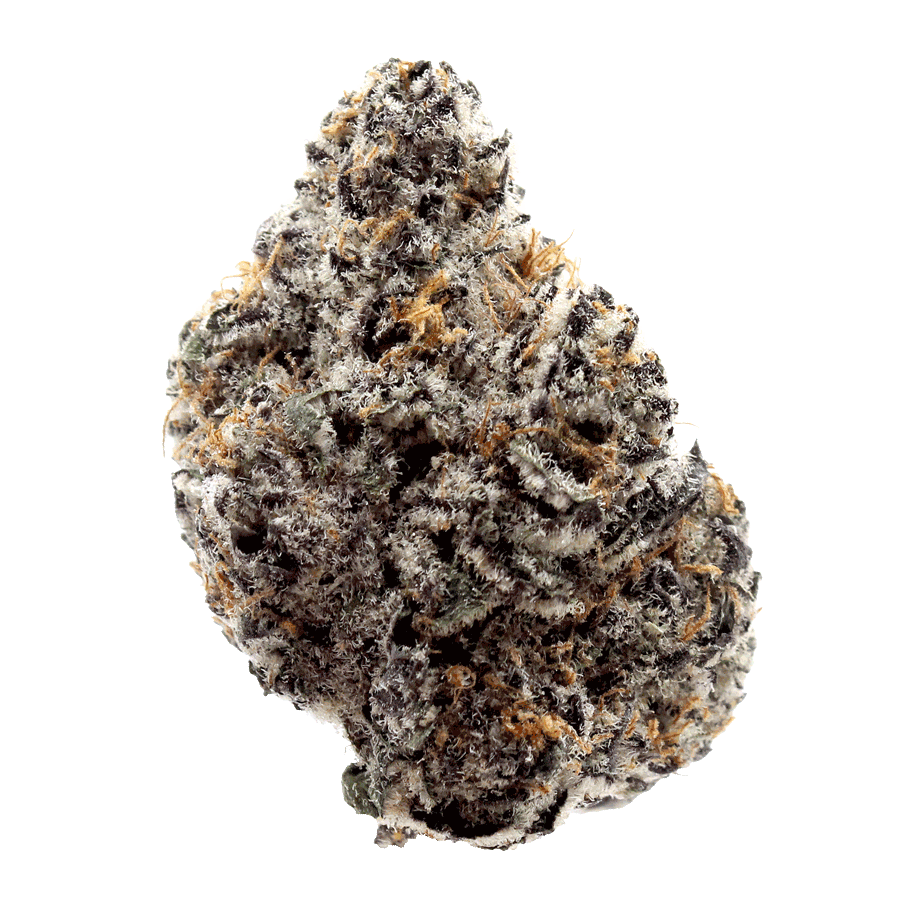 Prosecco THCa Flower Strain - Wholesale