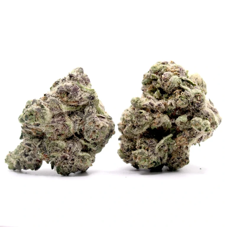 Wholesale Mango Mentality THCa