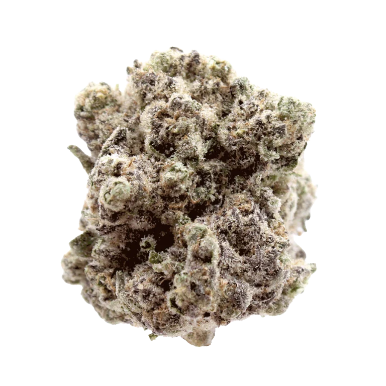 Wholesale Mango Mintality THCa Flower