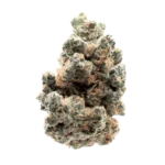 Wholesale Orange Push Pop Strain