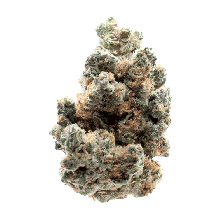 Wholesale Orange Push Pop Strain