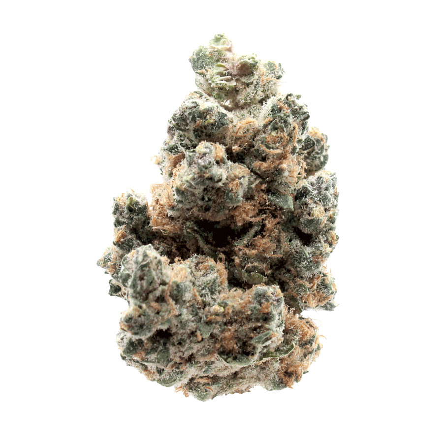 Wholesale Orange Push Pop Strain