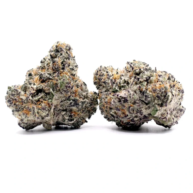 Wholesale Prosecco THCa Flower Strain