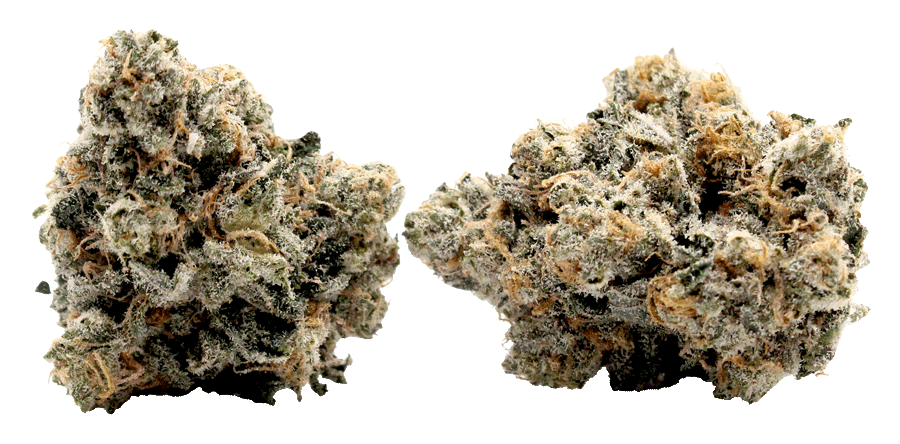 Alien Cake Strain