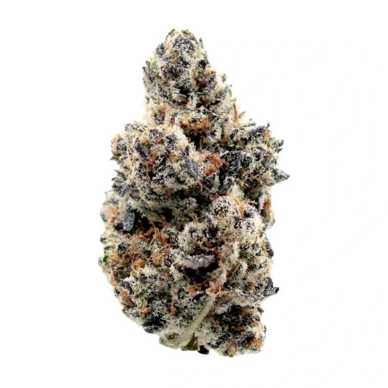 Gold Cash THCa Flower