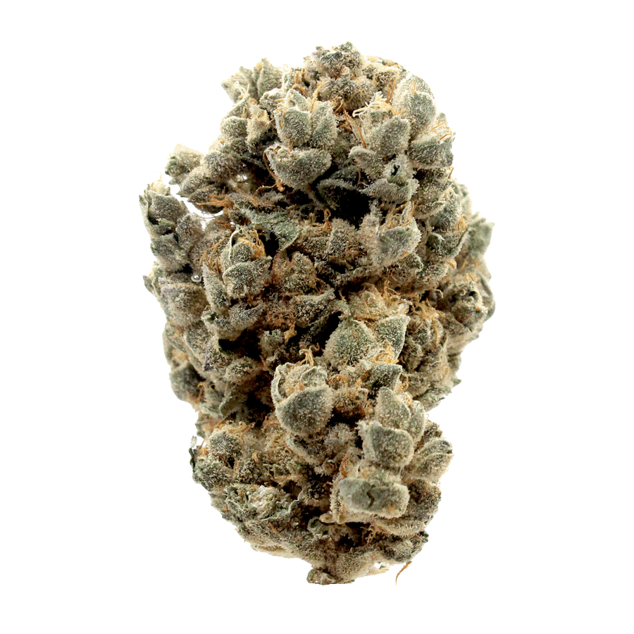 Strawberry Haze THCa Flower Strain