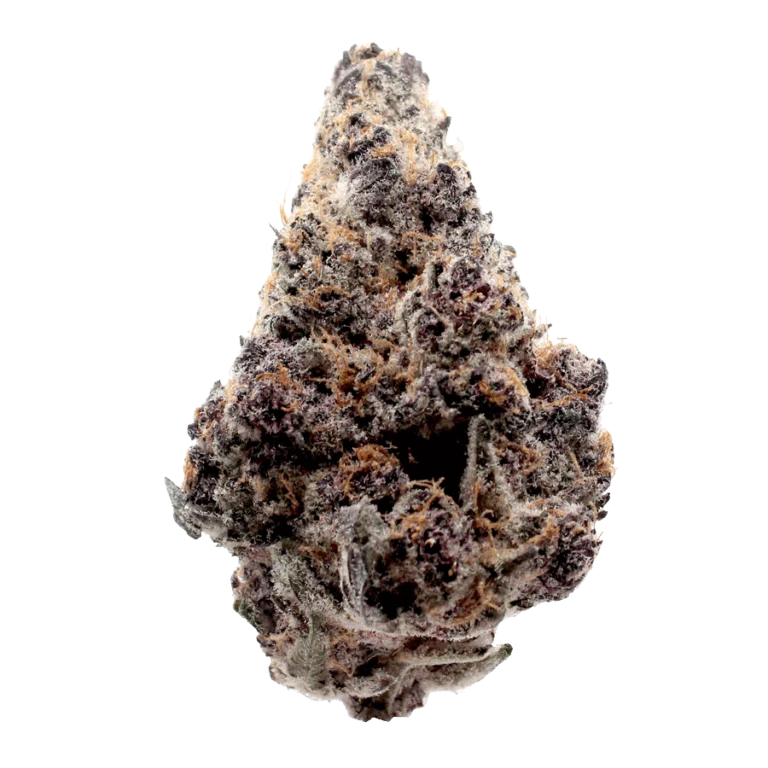 Block-Party-Flower-Strain