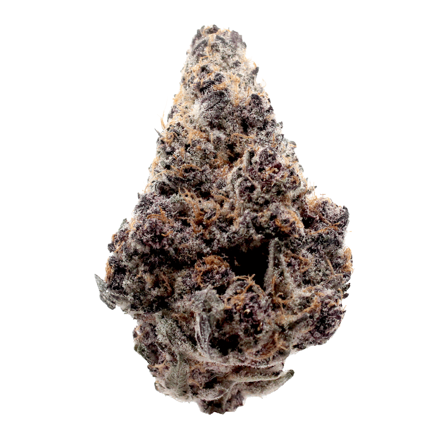 Block-Party-Flower-Strain