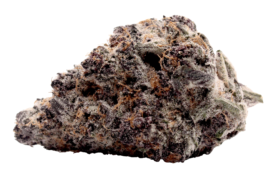 Block-Party-THCa-Strain