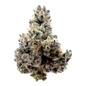 Dante-s-Inferno-THCa-Flower