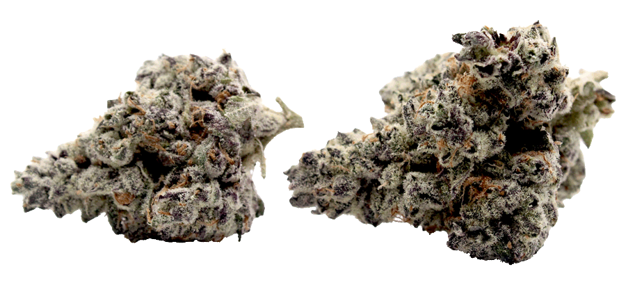 Dantes-Inferno-THCa-Flower