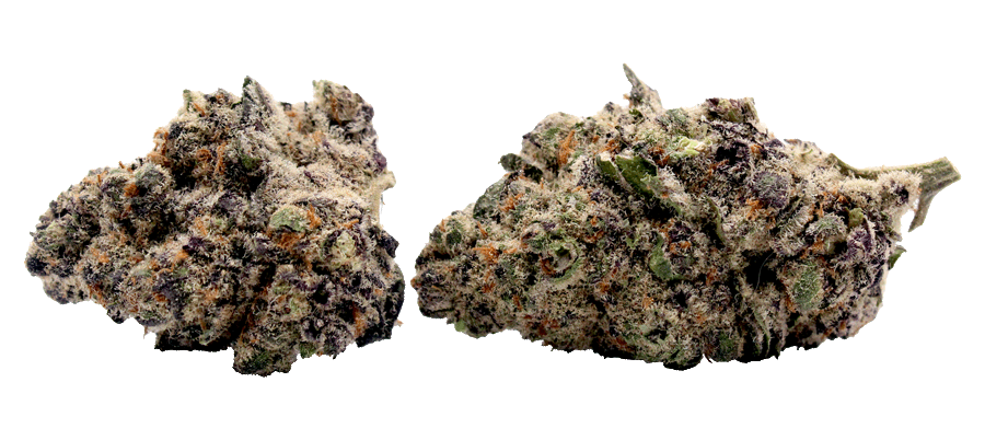 El-Chivo-THCa-Cannabis-Strain 
