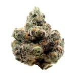 Molten-Lava-THCa-Strain