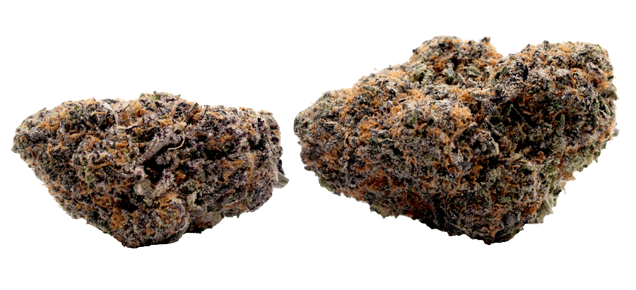 Night Light Cannabis Strain