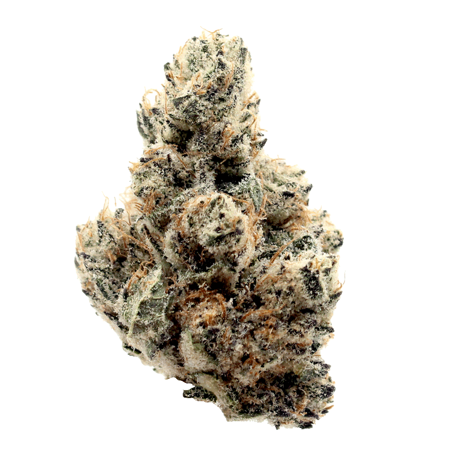 Raspberry-Tart-THCa-Flower