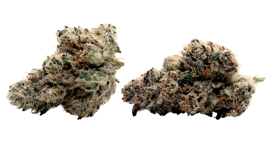 Raspberry-Tart-THCa-Strain