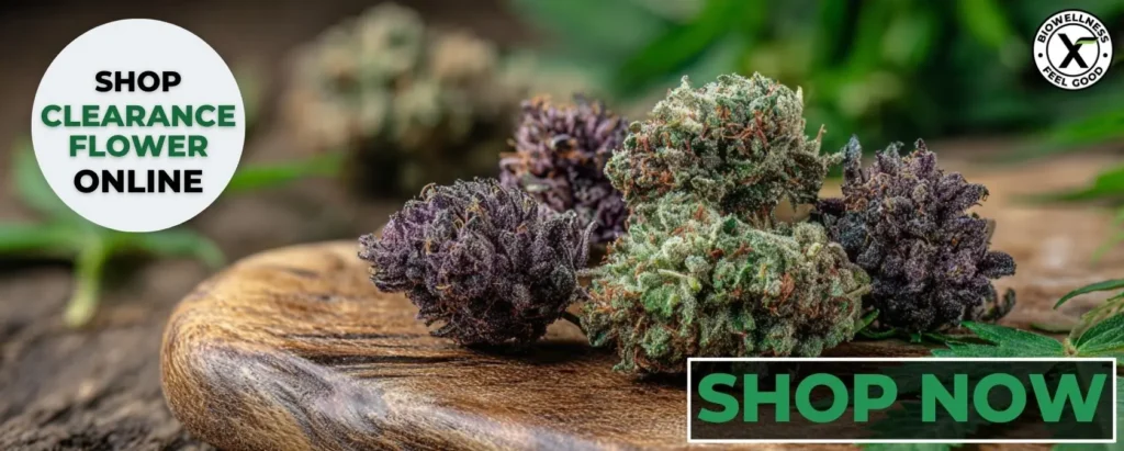 Buy Budget THCa Flower on Clearance