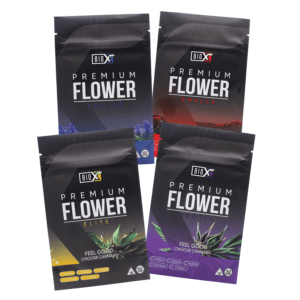 Sampler pack bundle-2_8xVaried-transp