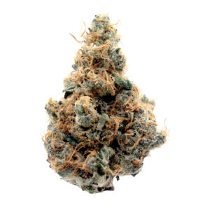 Watermelon-Zkittlez_Flower