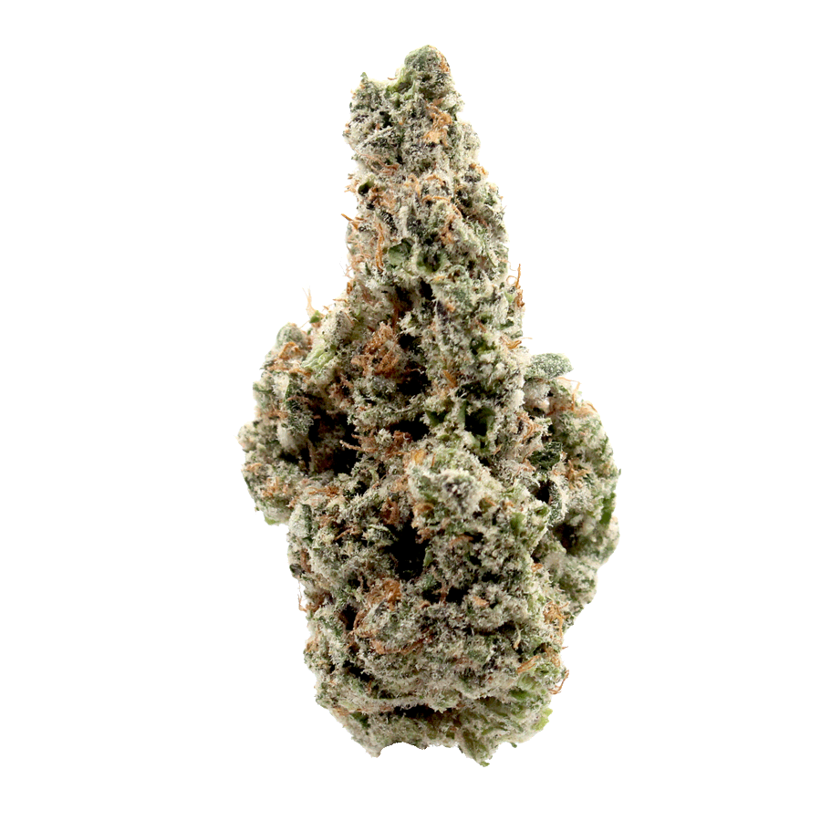 blue widow cannabis flower
