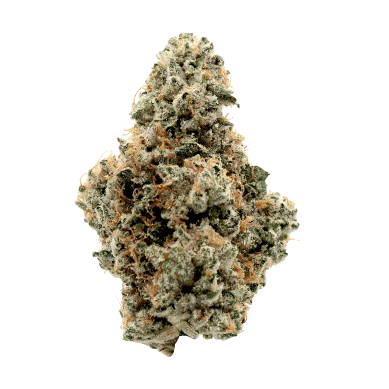 magin melon thca strain