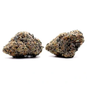 Kiwi Goddess Strain