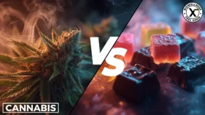 Cannabis Flowers vs Edibles