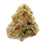 elvis strain