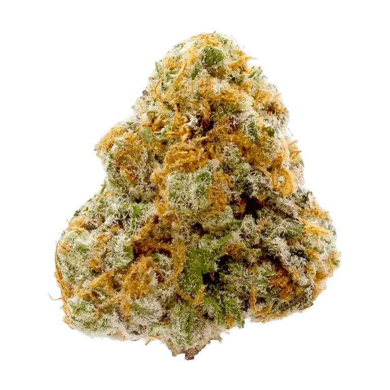 elvis strain thca