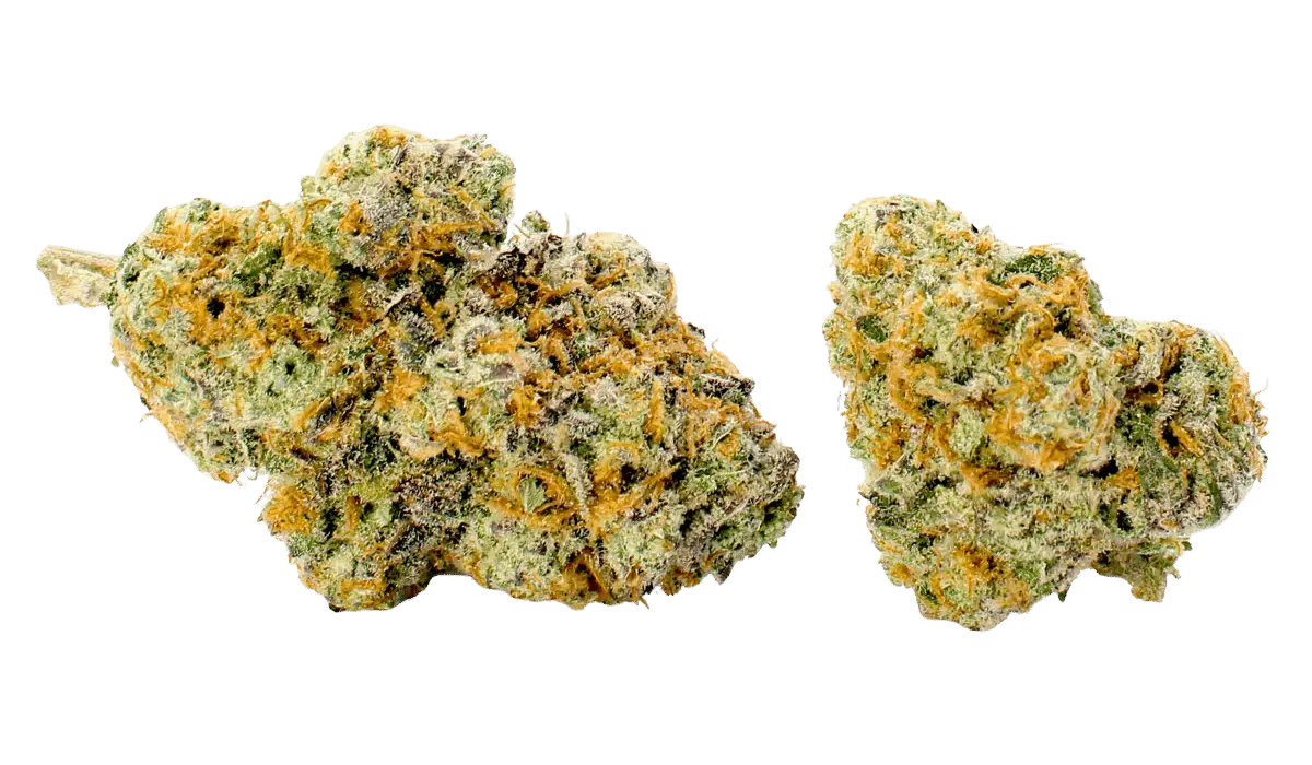 elvis thca flower