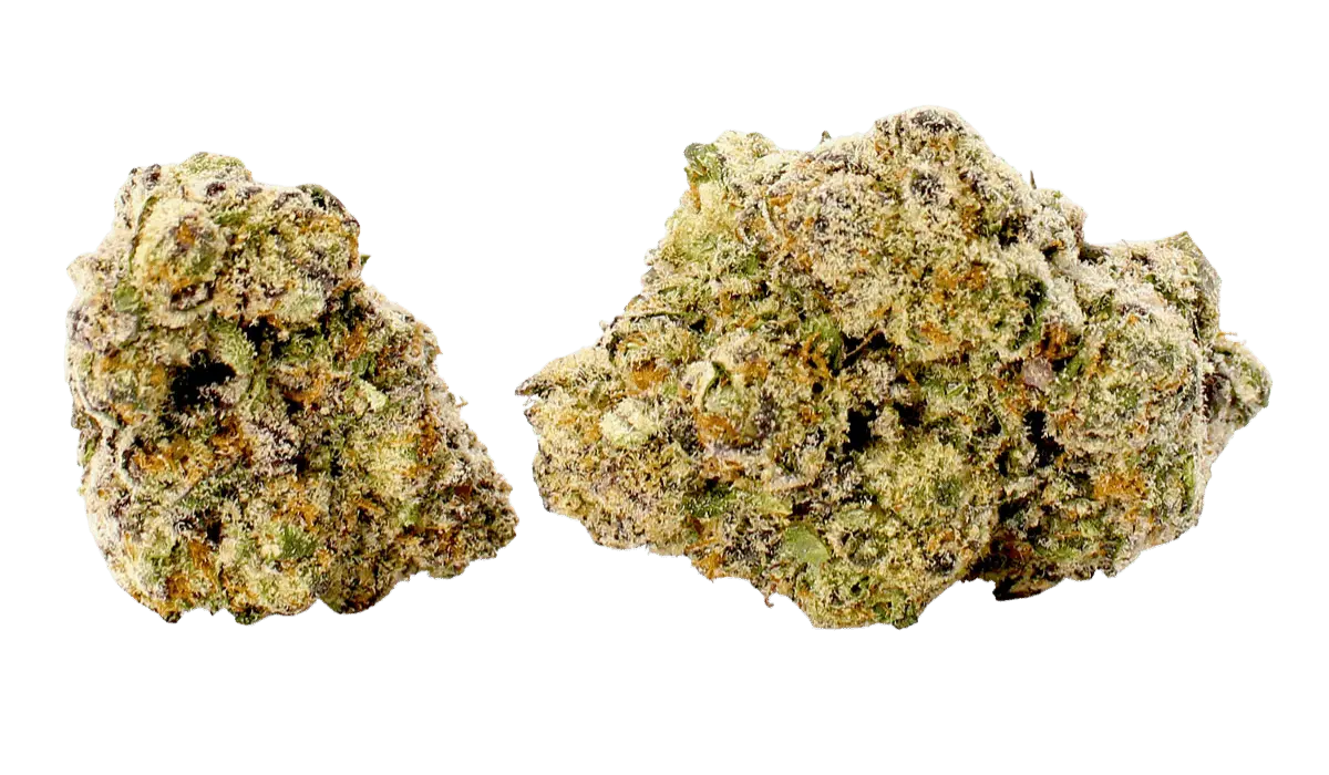 sour amaretto cannabis strain