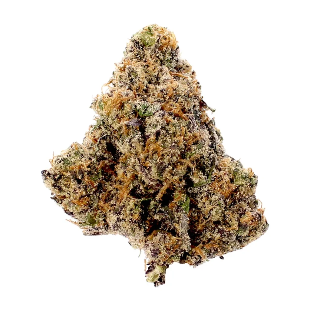 tangilope strain