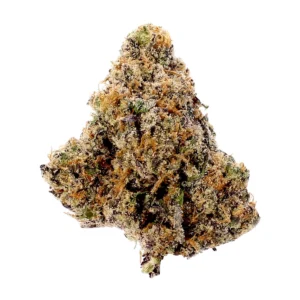 tangilope strain