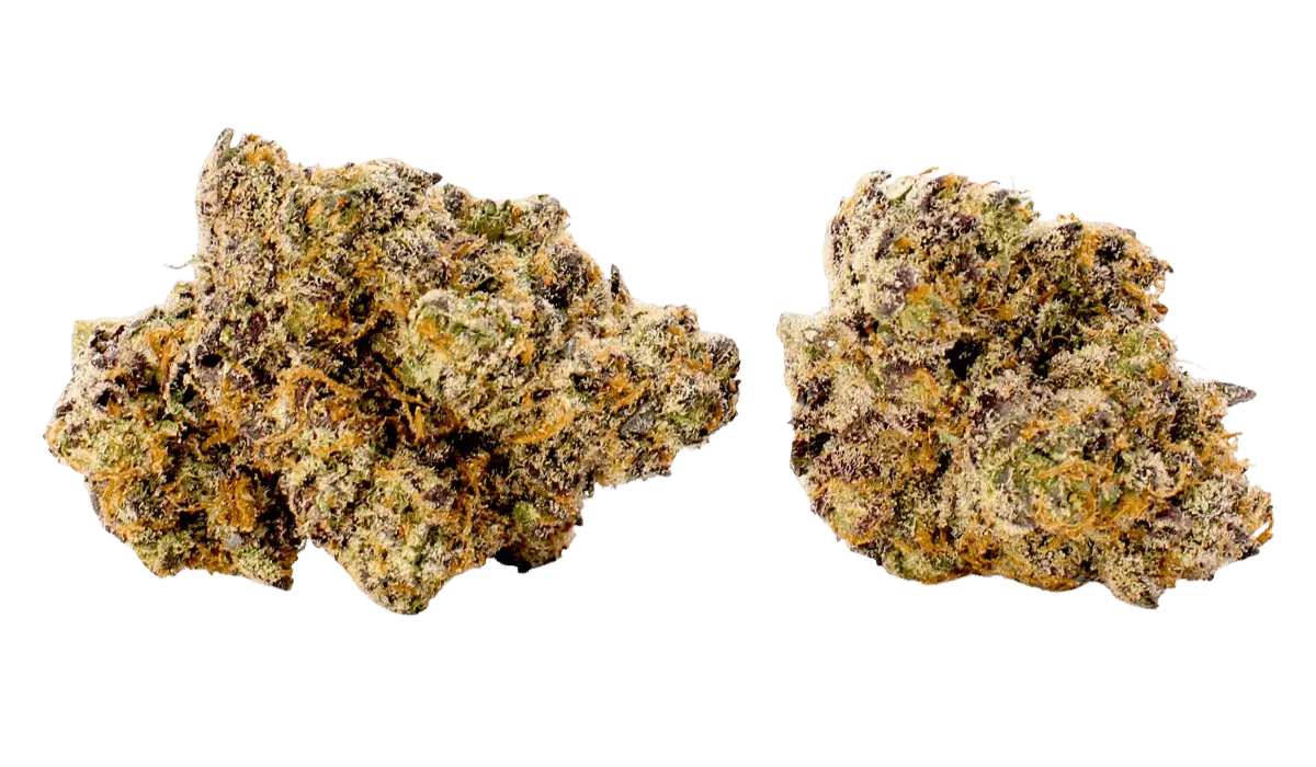 tangilope thca flower