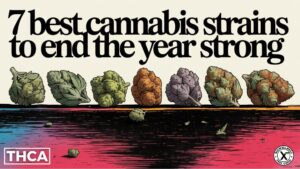 7 best elite strains