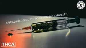 Guide to Cannabis Syringes