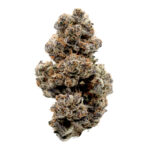 Ice-Cream-Float-Cannabis Strain