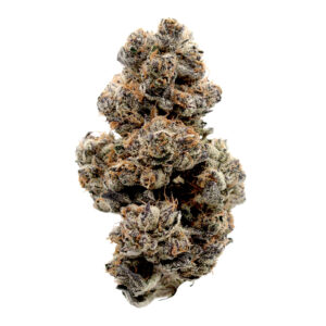 Ice-Cream-Float-Cannabis Strain