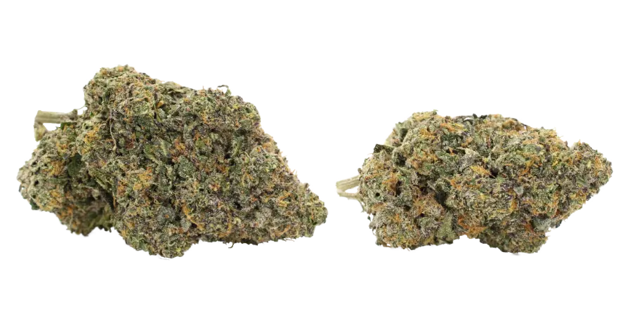 tom shelby thca flower