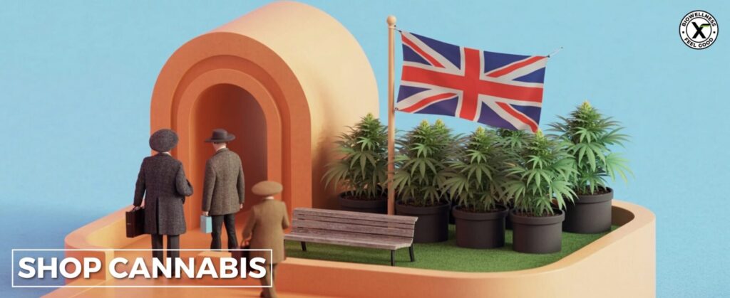 buy wholesale hemp flower in UK