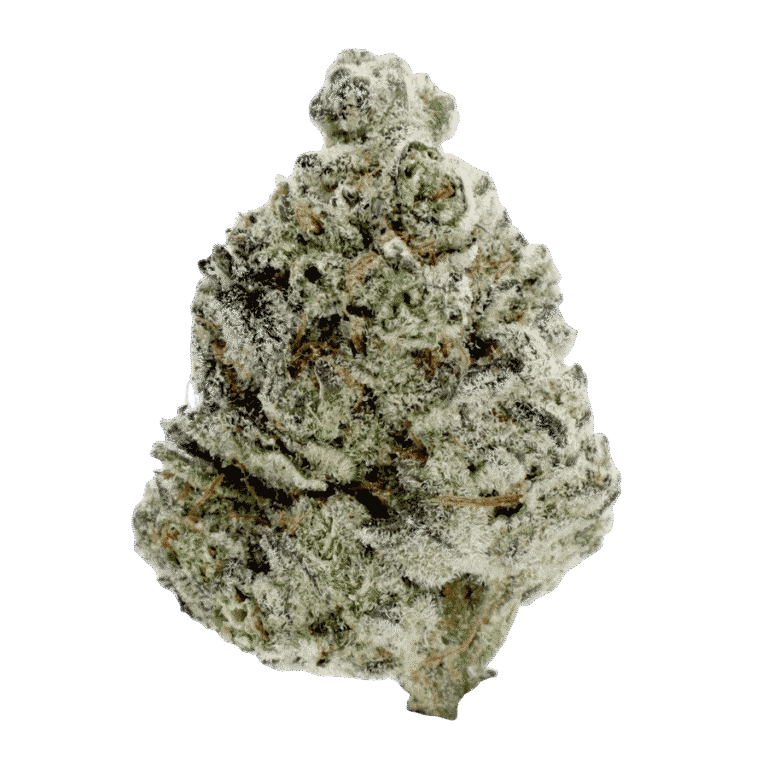 Don Mega Flower Strain