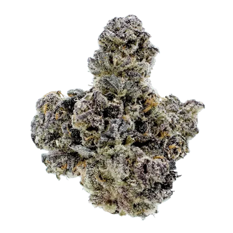 Gas Basket Flower BioWellnessX