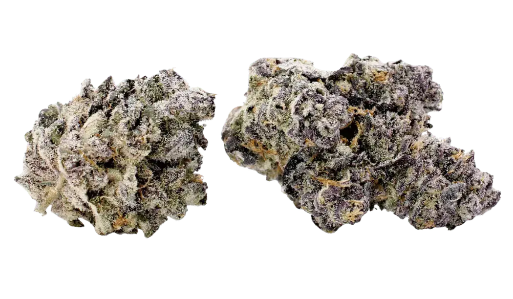 GasBaket-twobuds-nobg-half-new