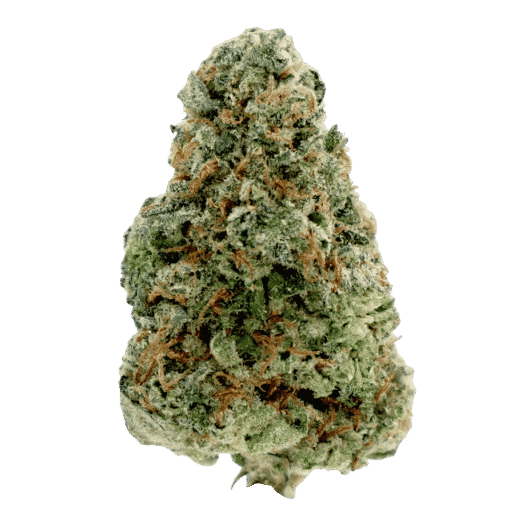 Papaya Flower STrain