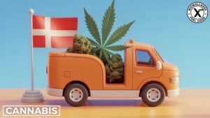 THCa Flower Wholesale Denmark - Wholesale Cannabis