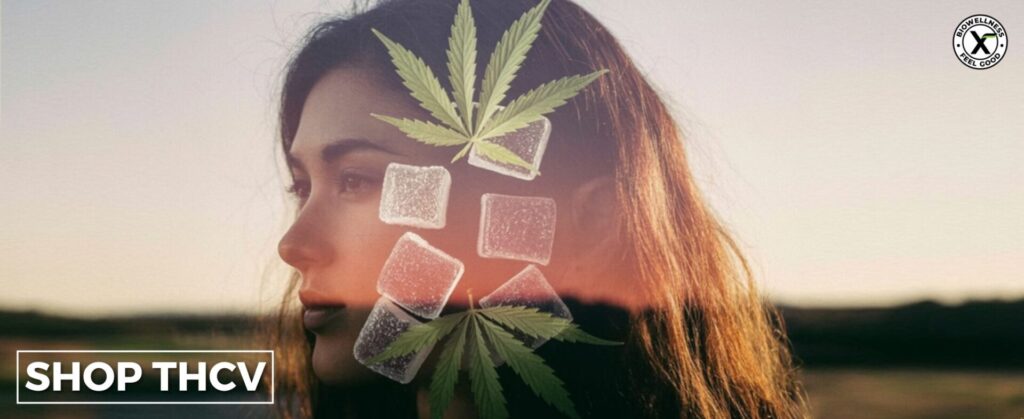 buy thcv gummies for focus effects