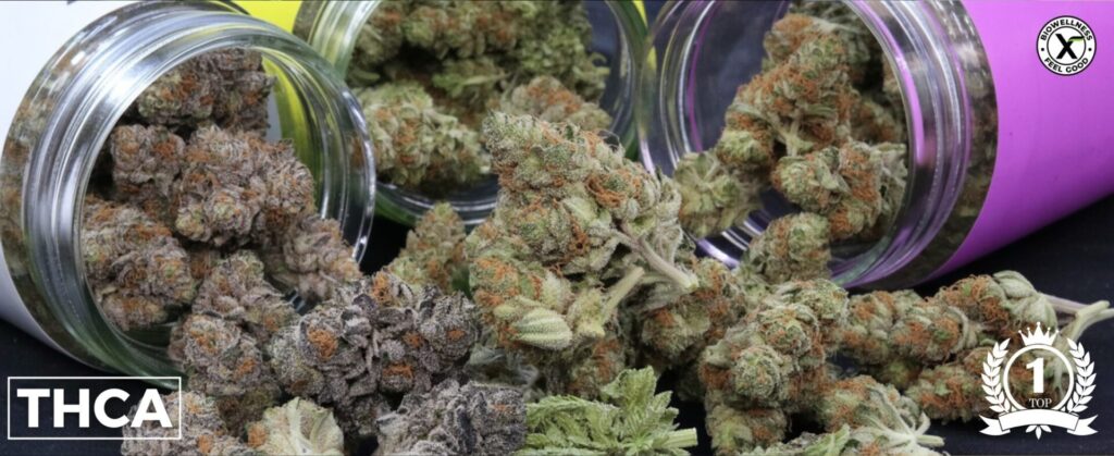 shop exotic indoor thca flower